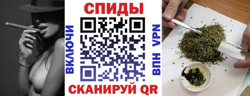 Купить где  Шагонар  Бутират буратино 