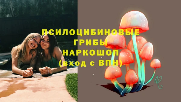 Альфа ПВП Кулебаки