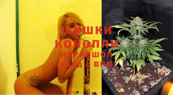 дживик Кукмор