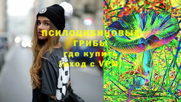 Альфа ПВП Кулебаки