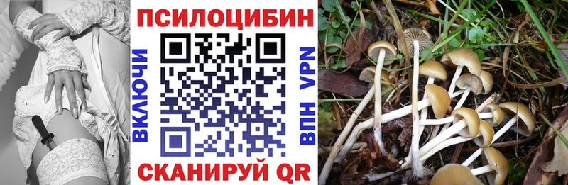 Купить  Шагонар  Псилоцибиновые грибы ЛСД 